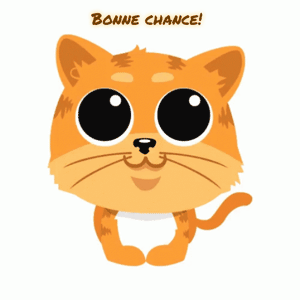 Gif animé bonne chance chat